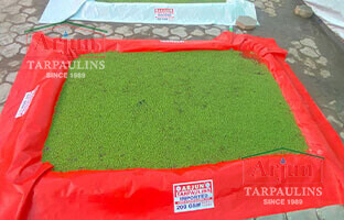  Azolla Beds at wholesale price